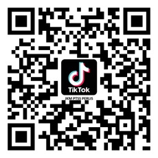 DKM - TikTok